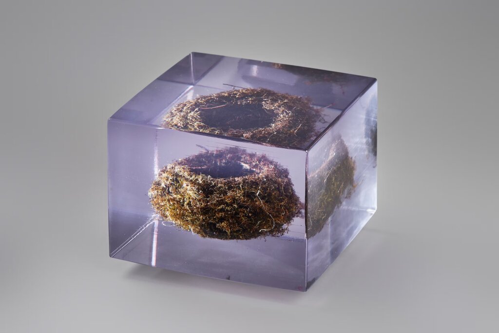 Filial Love: Sasha Sykes