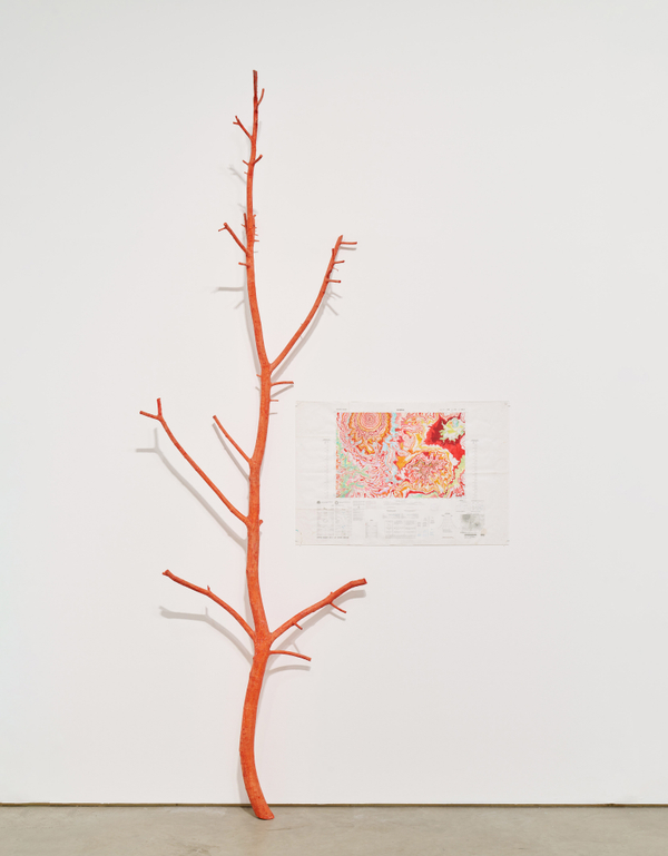 Stasis Field: Kathy Prendergast