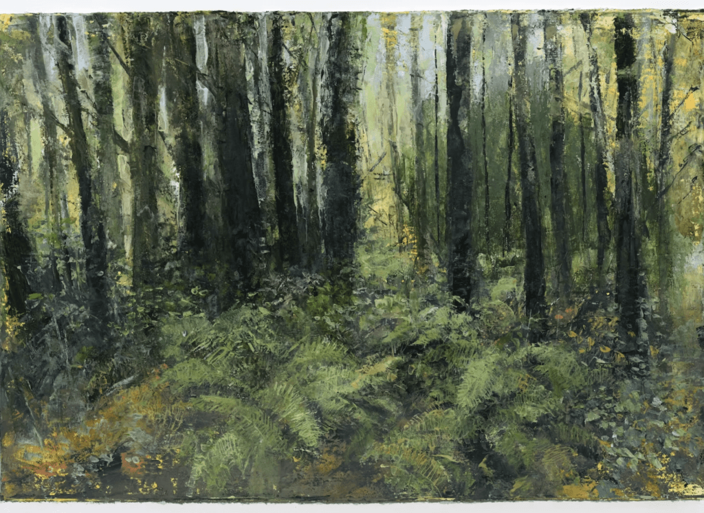 Donald Teskey: Castlemorris Woods