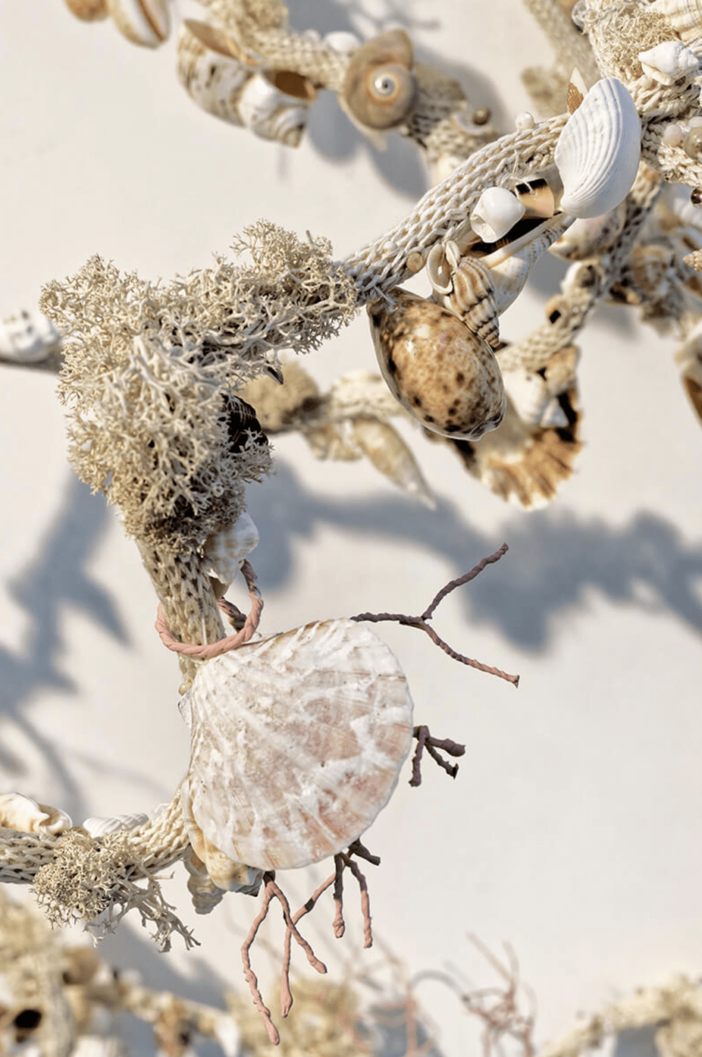 Symbiosis: Yanis Miltgen
